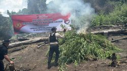 WhatsApp Image 2026 04 30 at 09.56.26