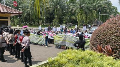 phpThumb generated thumbnail