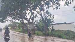 Pengguna Jalan Keluhkan Dampak Aktivitas Proyek SR di Jalan Elak, Debu dan Jalan Licin Ganggu Keselamatan