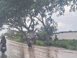 Pengguna Jalan Keluhkan Dampak Aktivitas Proyek SR di Jalan Elak, Debu dan Jalan Licin Ganggu Keselamatan