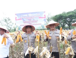 Kapolda Aceh Hadiri Panen Raya Jagung Serentak Kuartal II dan Salurkan Bibit Jagung kepada Kelompok Tani di Aceh Singkil
