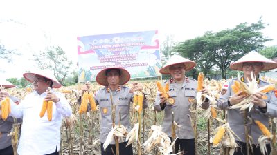 Kapolda Aceh Hadiri Panen Raya Jagung Serentak Kuartal II dan Salurkan Bibit Jagung kepada Kelompok Tani di Aceh Singkil