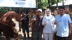 Bupati Brebes Serahkan Langsung Bantuan Sapi Kurban Presiden ke Masyarakat Desa Buara