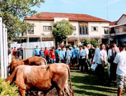 Kurban 7 Ekor Sapi, Polres Brebes Salurkan Daging ke 1.074 Penerima Manfaat