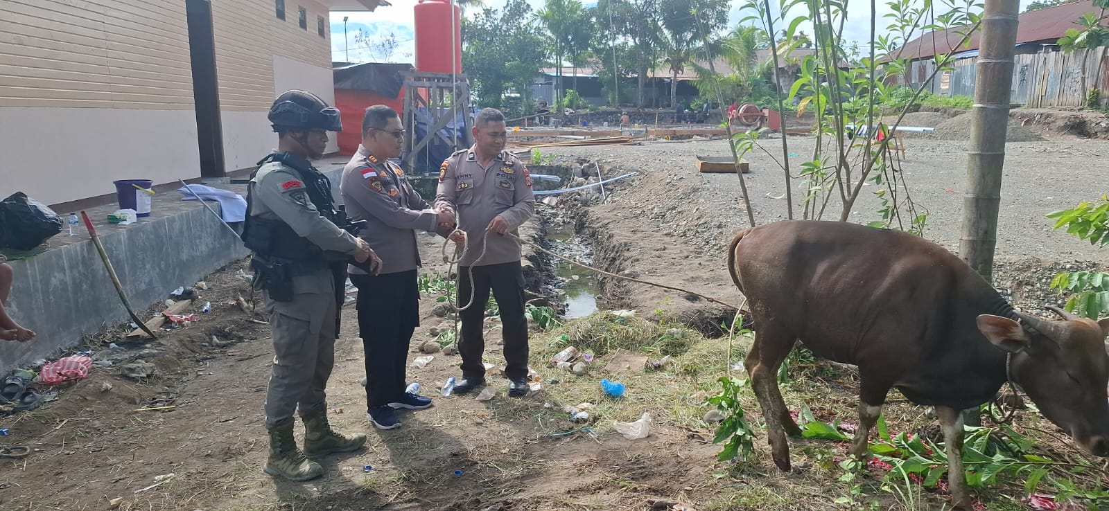 Solidaritas Idul Adha, PT Kristalin Ekalestari Pastikan Ribuan Warga Papua Nikmati Daging Kurban 1 IMG 20260528 WA0012