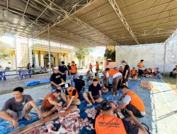 Iduladha 2026, Jamaah Masjid Bamsol Pringsewu Utara Sembelih 2 Sapi dan 5 Kambing