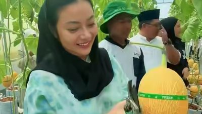 Dampingi Bupati, Wakil Ketua DPRD Brebes Perkenalkan Melon Golden Hami: Peluang Baru Ekonomi Warga 9 IMG 20260530 WA0001