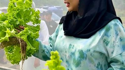 Heru Irwanto Gerakkan Petani Milenial: Belajar Bertani Gratis, Disediakan Makan hingga Diberi Modal Usaha 4 IMG 20260531 WA0001