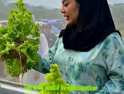 Heru Irawanto Gerakkan Petani Milenial: Belajar Bertani Gratis, Disediakan Makan hingga Diberi Modal Usaha