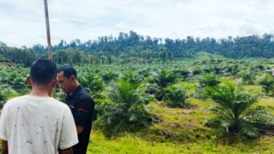 Praktik Ilegal PT Raja Marga Tak Kunjung Tuntas, Satgas PKH Didesak Turun ke Simeulue 11 IMG 20260524 204545 847 copy 874x582