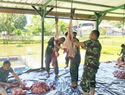 Kodim 0115/Simeulue Tebar Berkah Idul Adha 1447 H: Sembelih Kerbau, Lembu dan Kambing