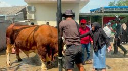 Sambut Idul Adha, Kholid Ismail Salurkan Hewan Kurban Hingga ke Serang, Cianjur, Sukabumi