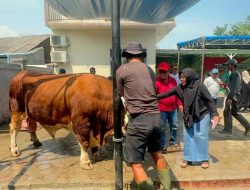 Sambut Idul Adha, Kholid Ismail Salurkan Hewan Kurban Hingga ke Serang, Cianjur, Sukabumi