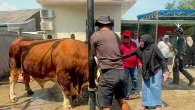 Sambut Idul Adha, Kholid Ismail Salurkan Hewan Kurban Hingga ke Serang, Cianjur, Sukabumi 4 WA 1779882904486