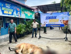 SIT Nurul Fikri Aceh Gelar Semarak Qurban 1447 H, Tanamkan Karakter Peduli dan Semangat Berbagi