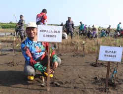 Bangun Benteng Hijau: Ribuan Mangrove Ditanam Lindungi Pesisir Randusanga Kulon Brebes dari Gerusan Air Laut