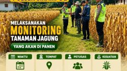 Dukung Ketahanan Pangan, Kapolsek Sirampog Kunjungi Lahan Jagung Desa Mlayang