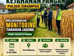 Dukung Ketahanan Pangan, Kapolsek Sirampog Kunjungi Lahan Jagung Desa Mlayang