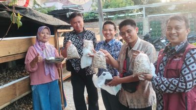 Suwarno Gaungkan Budidaya Jamur Merang: Limbah Pertanian Berubah Jadi Sumber Penghasilan 3 IMG 20260617 WA0001