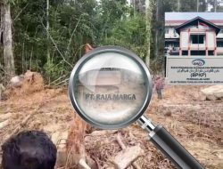 Dugaan Aktivitas Ilegal PT Raja Marga di Simeulue Masuk Radar BPKP