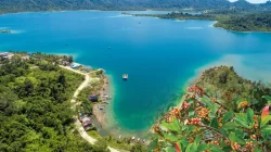 Pemkab Simeulue Komit Kembalikan Kejayaan Perkebunan, Usulkan 1 Juta Bibit Cengkeh ke Pusat 7 1 juta cengkeh simeulue 1200x720 1