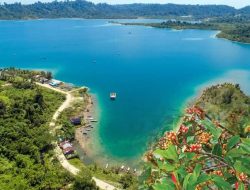 Pemkab Simeulue Komit Kembalikan Kejayaan Perkebunan, Usulkan 1 Juta Bibit Cengkeh ke Pusat