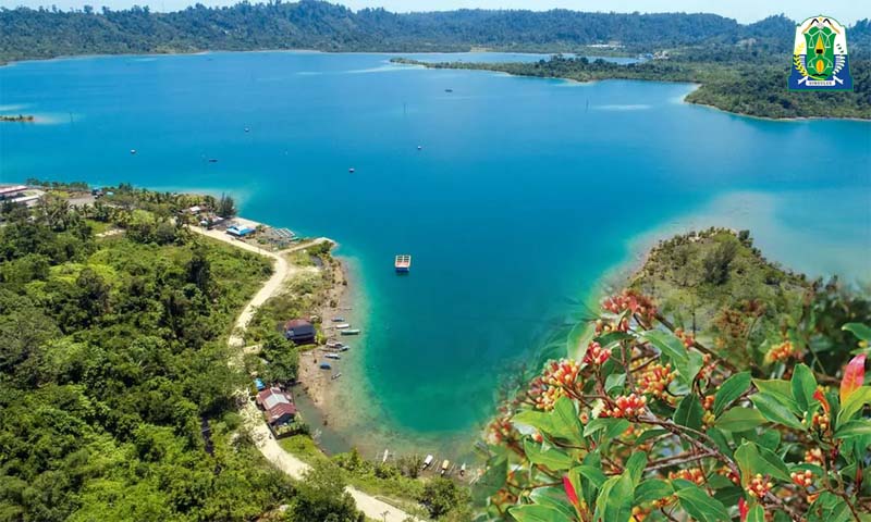 Pemkab Simeulue Komit Kembalikan Kejayaan Perkebunan, Usulkan 1 Juta Bibit Cengkeh ke Pusat 1 1 juta cengkeh simeulue 1200x720 1 copy