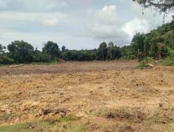 Camat Teupah Selatan, Dukung Penuh Program Cetak Sawah Baru di Simeulue