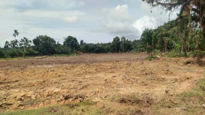 Camat Teupah Selatan, Dukung Penuh Program Cetak Sawah Baru di Simeulue 2 Ade 1
