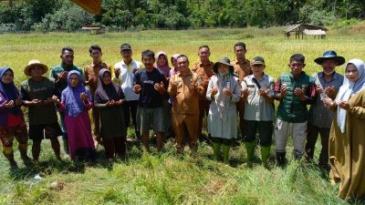 Camat Teupah Tengah Tegaskan Gerakan Turun ke Sawah Serentak Perkuat Ketahanan Pangan 7 Camat Teupah Tengah