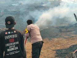 Api Melalap 4 Hektar Hutan Pinus Paguyangan, Berhasil Dipadamkan Petugas Gabungan