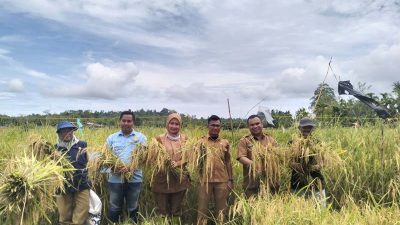 Camat Teupah Tengah Imbau Petani Turun ke Sawah Serentak 1 WhatsApp Image 2026 07 11 at 17.38.54