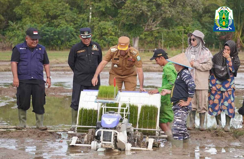 Simeulue Targetkan Jadi Lumbung Pangan Aceh 1 tanam padi copy