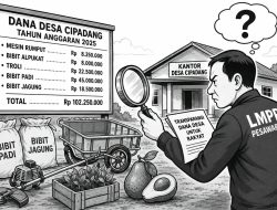 Dana Desa Rp102,25 Juta di Cipadang Pesawaran Dipertanyakan: Jangan Sampai Anggaran Beres di Kertas, Barangnya Entah ke Mana