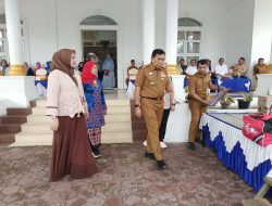 Bupati Simeulue Sambut Kedatangan Ketua TP-PKK Aceh