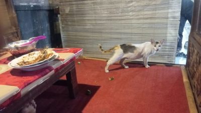 IMG 20260929 WA0069