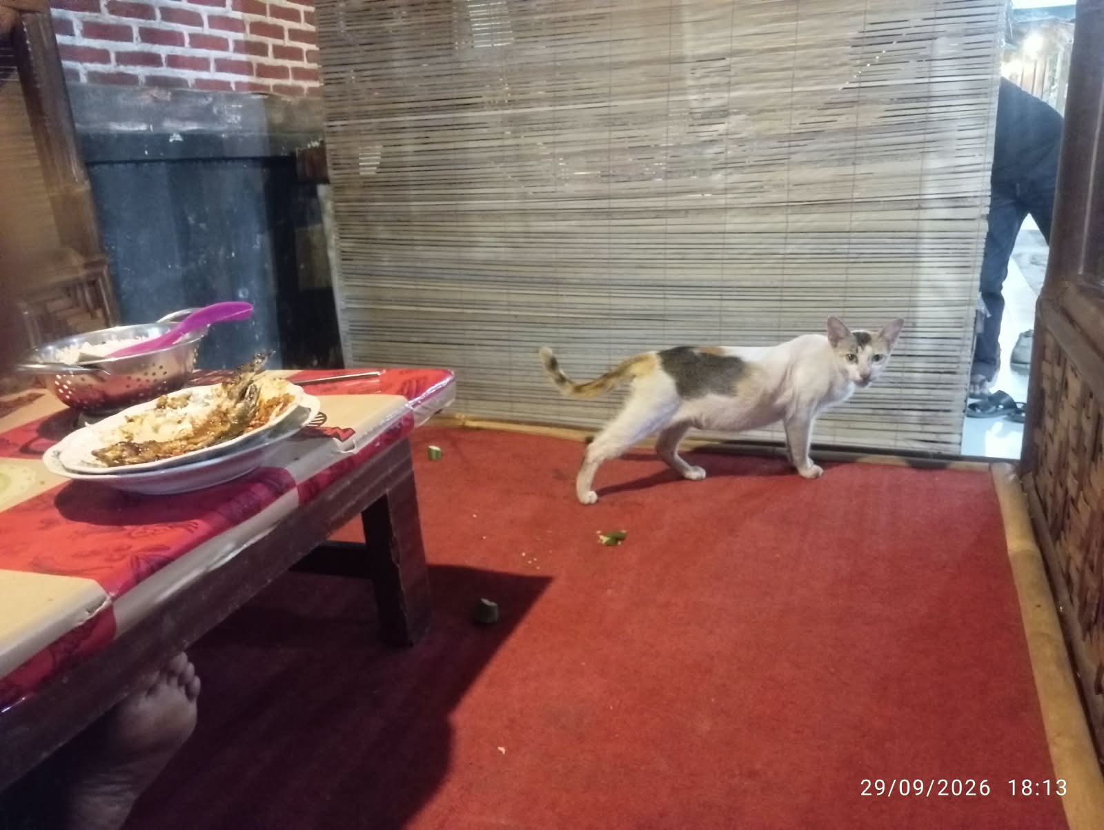 IMG 20260929 WA0069