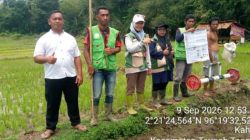 Camat Teupah Tengah Dorong Modernisasi Budidaya Padi Melalui PM-AAS 6 IMG 20260912 205037 425
