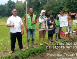 Camat Teupah Tengah Dorong Modernisasi Budidaya Padi Melalui PM-AAS