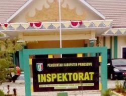 LIN-MIB Secepatnya Segera Surati Inspektorat Pringsewu, Minta Audit Ulang Smart Village Fajar Agung Rp116,5 Juta