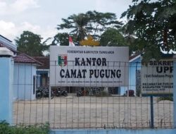 Camat Pugung Buka Suara soal Polemik Pelantikan Pj Pekon Gunung Tiga