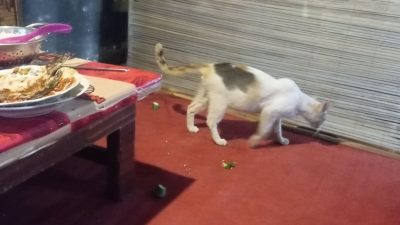 IMG 20261001 WA0079