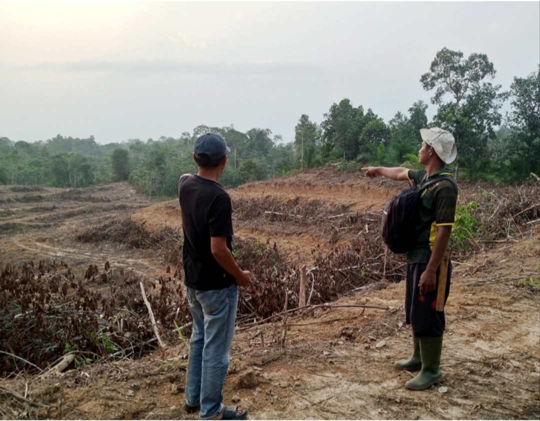 Kebun Karet di Kejuruan Muda Disulap Jadi Lahan PSR, Dinas Pertanian Tamiang Beri Penjelasan 1 IMG 20261024 231930