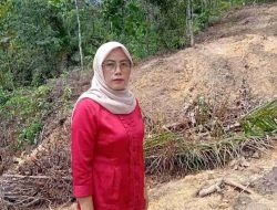 Kebun Karet Masuk Program PSR Tamiang, Pemilik Lahan di Alur Selebu Beri Penjelasan