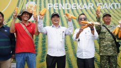 IMG 20261028 164928