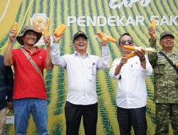 Harga Jagung Menguntungkan, Wabup Brebes Dorong Petani Wlahar Maksimalkan Potensi Lokal