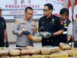 Amankan 14 Pria, Satnarkoba Polres Langsa Sita 39,9 Kg Ganja dan 24,38 Gram Sabu